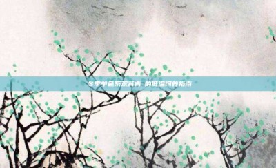 ‌冬季单色系观背青鳉的低温饲养指南