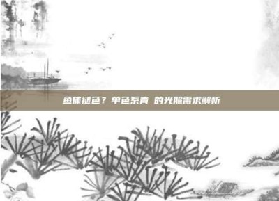 ‌鱼体褪色？单色系青鳉的光照需求解析‌