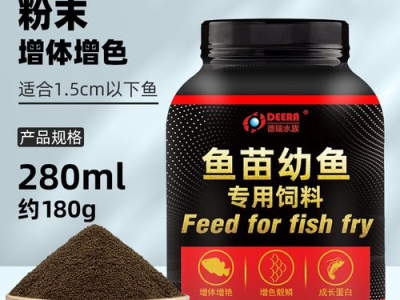 观背青鳉鱼喂食攻略：营养均衡的饲料选择