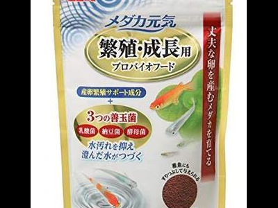 观背青鳉鱼饲料储存方法：保持饲料新鲜