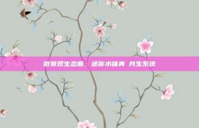 微景观生态瓶：迷你水体青鳉共生系统