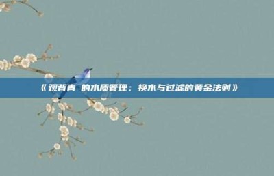‌《观背青鳉的水质管理：换水与过滤的黄金法则》‌