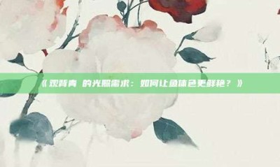 ‌《观背青鳉的光照需求：如何让鱼体色更鲜艳？》‌