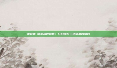 观背青鳉锦系品种解析：红白锦与三色锦基因组合