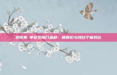 观背青鳉单色系热门品种：杨贵妃与纯白个体对比
