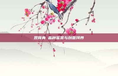 观背青鳉品种鉴赏与创意饲养