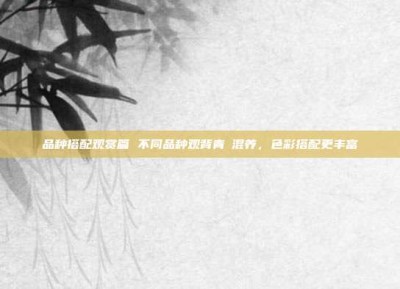 品种搭配观赏篇 不同品种观背青鳉混养，色彩搭配更丰富