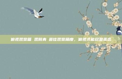 俯视观赏篇 观背青鳉最佳观赏角度，俯视才能尽显美态