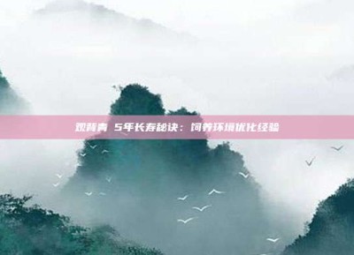 观背青鳉5年长寿秘诀：饲养环境优化经验