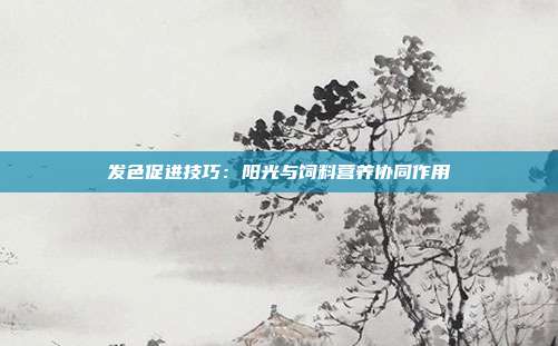 发色促进技巧:阳光与饲料营养协同作用