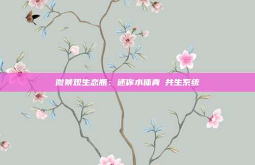 微景观生态瓶:迷你水体青鳉共生系统