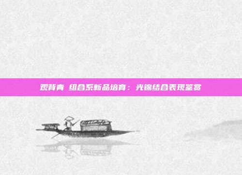 观背青鳉组合系新品培育:光锦结合表现鉴赏