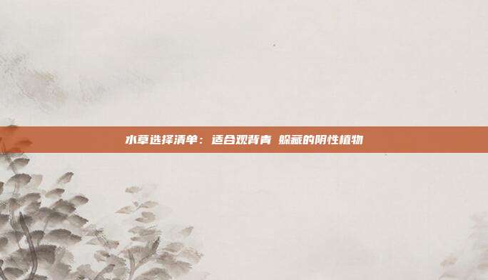 水草选择清单:适合观背青鳉躲藏的阴性植物