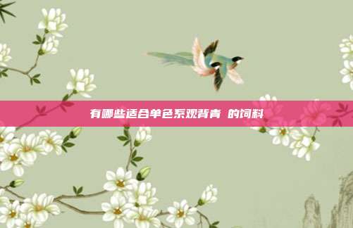 有哪些适合单色系观背青鳉的饲料