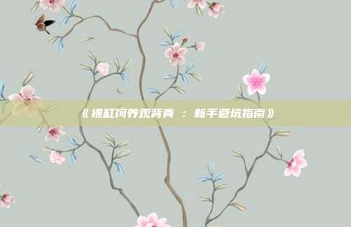 《裸缸饲养观背青鳉:新手避坑指南》
