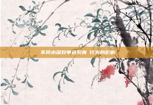 不同水深对单色系青鳉行为的影响
