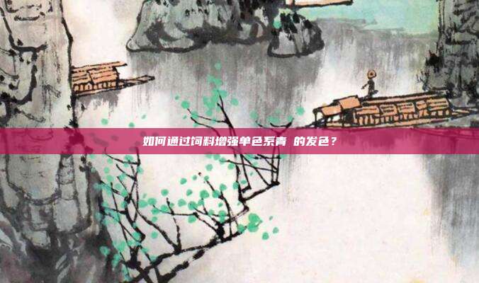 如何通过饲料增强单色系青鳉的发色?