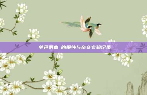 单色系青鳉的提纯与杂交实验记录