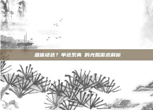 鱼体褪色?单色系青鳉的光照需求解析