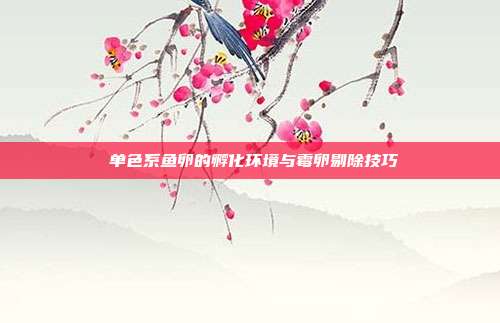 单色系鱼卵的孵化环境与霉卵剔除技巧