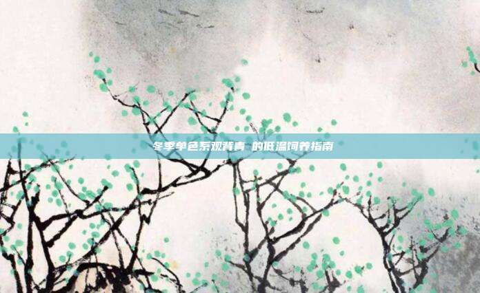 冬季单色系观背青鳉的低温饲养指南