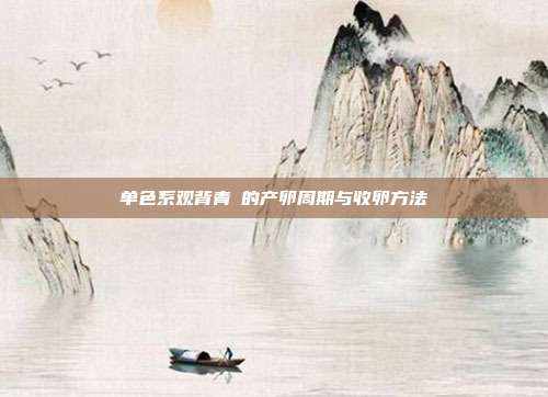 单色系观背青鳉的产卵周期与收卵方法