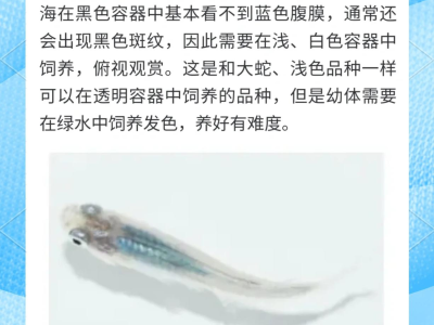 观背青鳉鱼疾病治疗：常见药物使用指南
